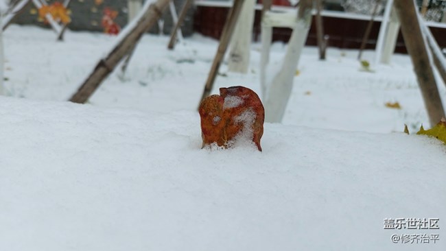 #2021留念——深秋的雪