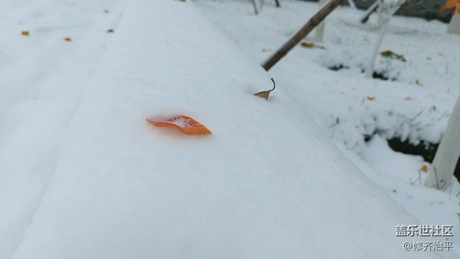 #再回首——秋雪也很美