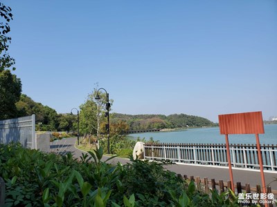 武漢
