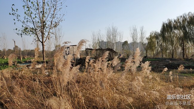 【我不一樣的圣誕】+打卡石頭雕塑