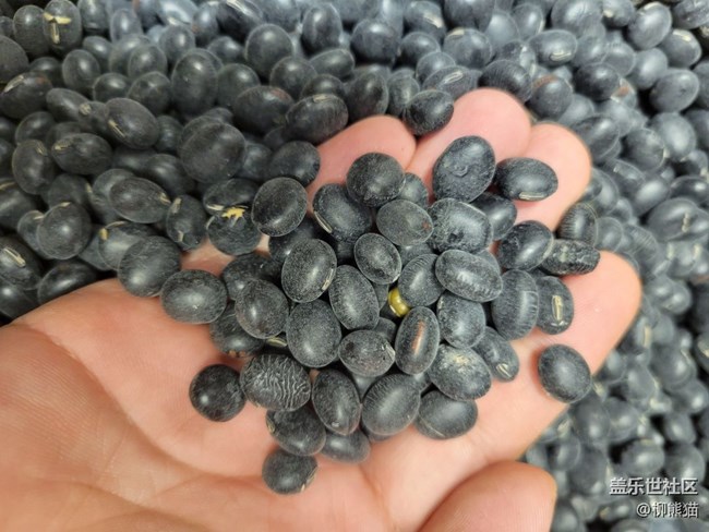 【我的收藏】沒(méi)啥收藏