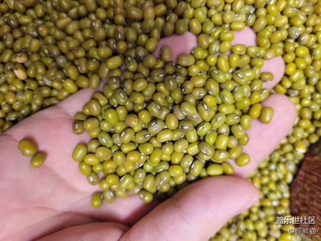 【我的收藏】沒(méi)啥收藏