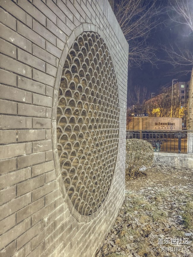 【我的收藏】夜晚散步拍攝