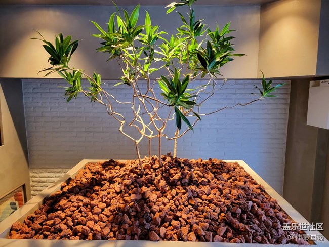 【雙節(jié)美食】馬奎斯侯爵