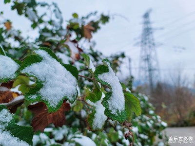 2021年第一場雪