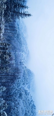 窗含西嶺千秋雪