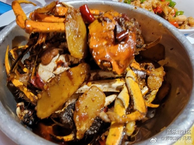 S21系列日常拍照