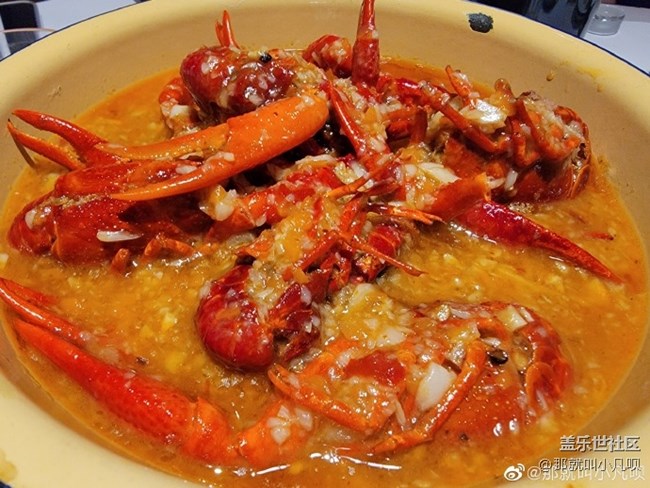 S21系列日常拍照