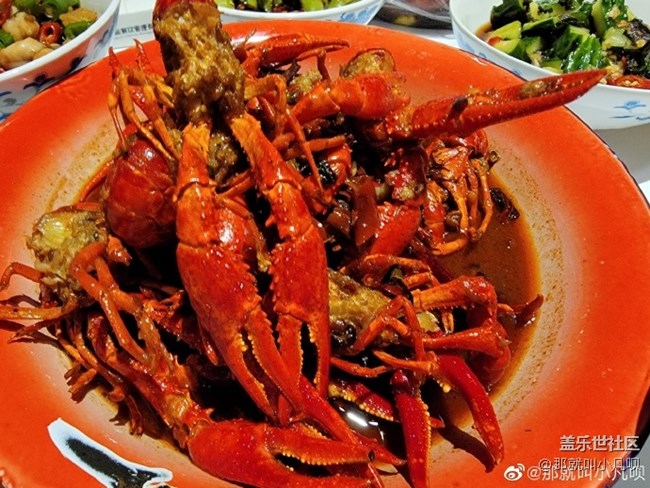 S21系列日常拍照