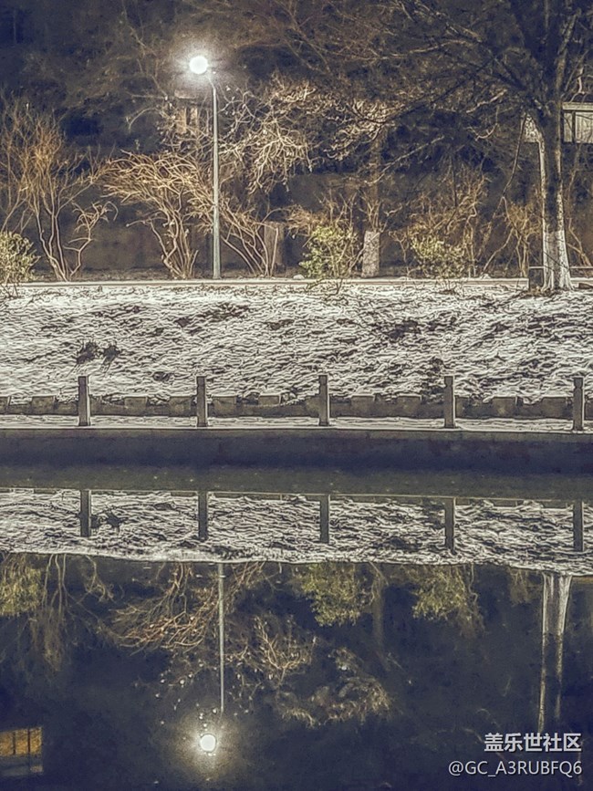 【我的收藏】夜晚散步拍攝