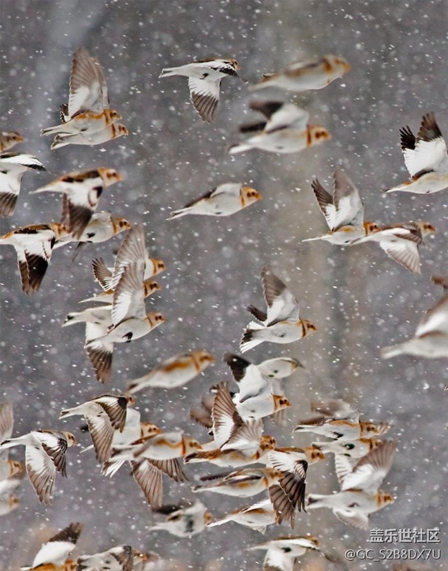 你信不信今天下午2點更新ui4?