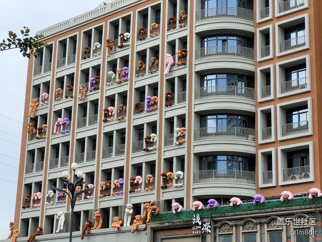 Galaxy Z系列手機(jī)星粉體驗(yàn)團(tuán)+初識嫌棄，上手難舍