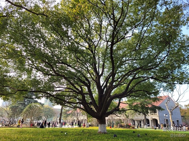 Galaxy Z系列手機(jī)星粉體驗(yàn)團(tuán)+初識嫌棄，上手難舍