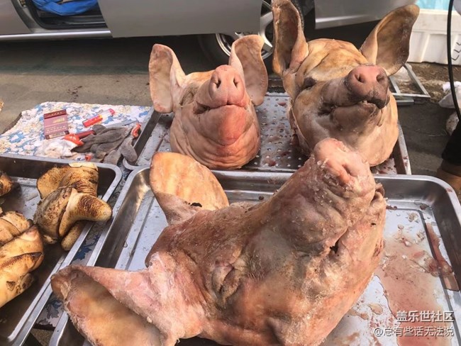 【2022新星愿】+沈陽(yáng)祝家大集