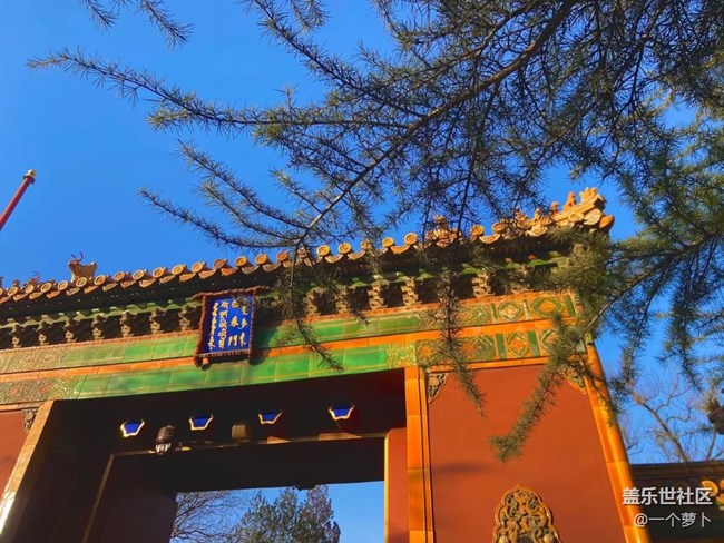 【2022新星愿】+ 22年還要多多出去看風(fēng)景