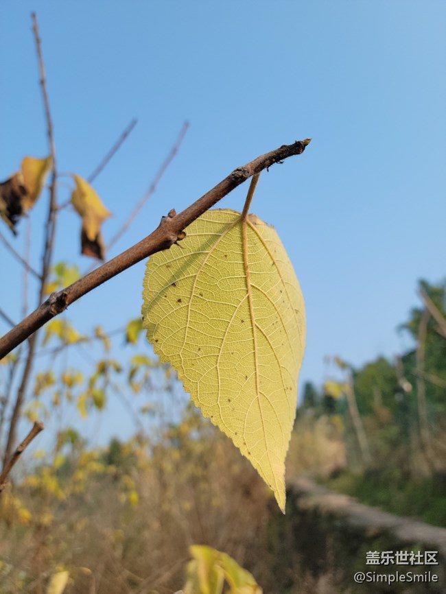 感覺4.0的相機(jī)對焦性能有所提升