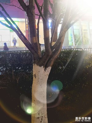 隨拍