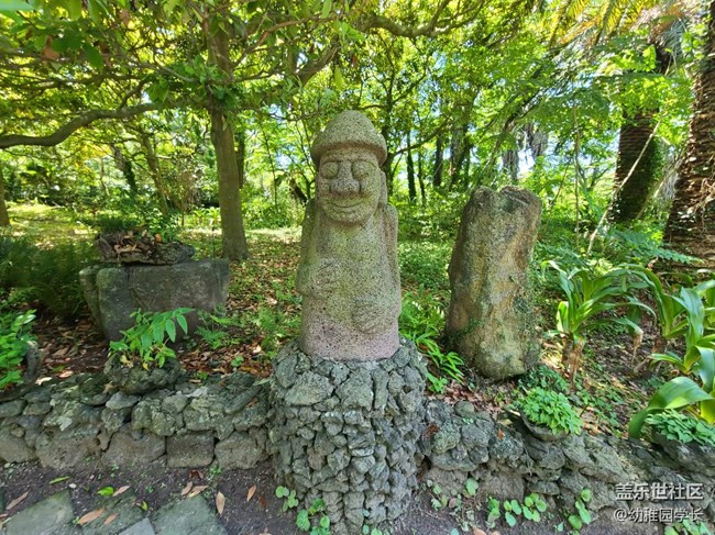 太久沒見大家了 終于趕到時(shí)機(jī)見你們了