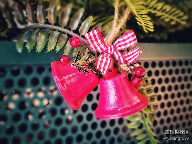 【2022新星愿】+天天快樂(lè)