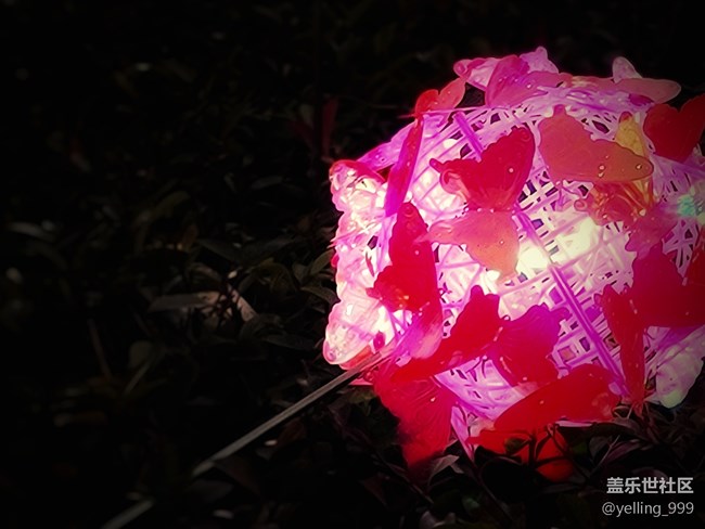 【2022新星愿】+天天快樂(lè)