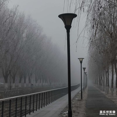 隨手一拍