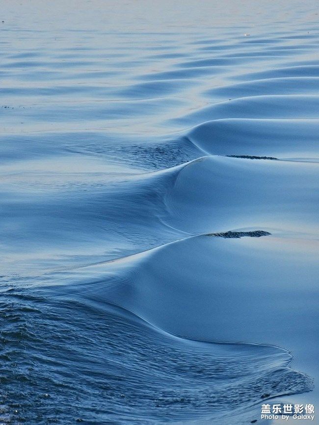 《每周星鮮事》 第93期: 快來分享你的元旦假期吧!