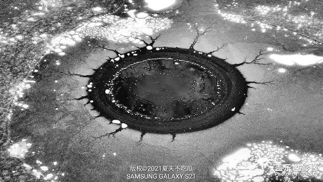 《每周星鮮事》 第93期: 快來分享你的元旦假期吧!