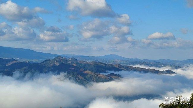 《每周星鮮事》 第93期: 快來分享你的元旦假期吧!