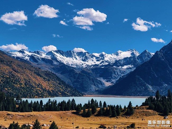 《每周星鮮事》 第93期: 快來分享你的元旦假期吧!