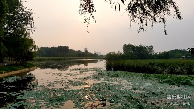 【元旦來這玩】+元旦來公園散步