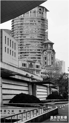 【上海一瞥】