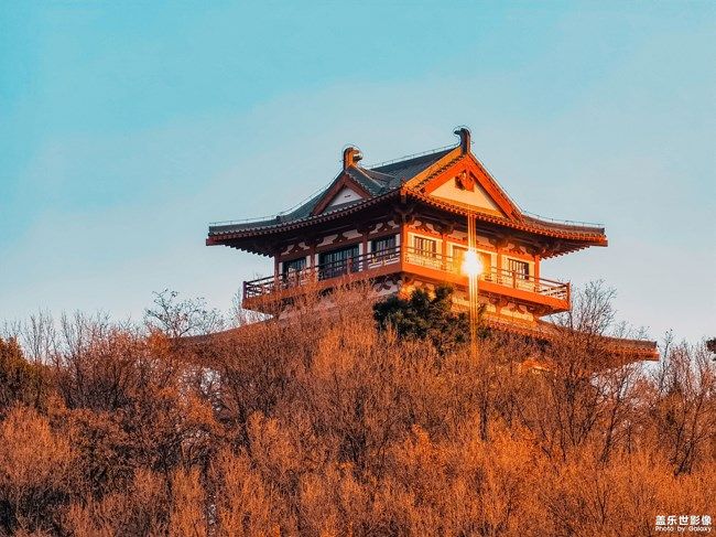 《每周星鮮事》 第93期: 快來分享你的元旦假期吧!