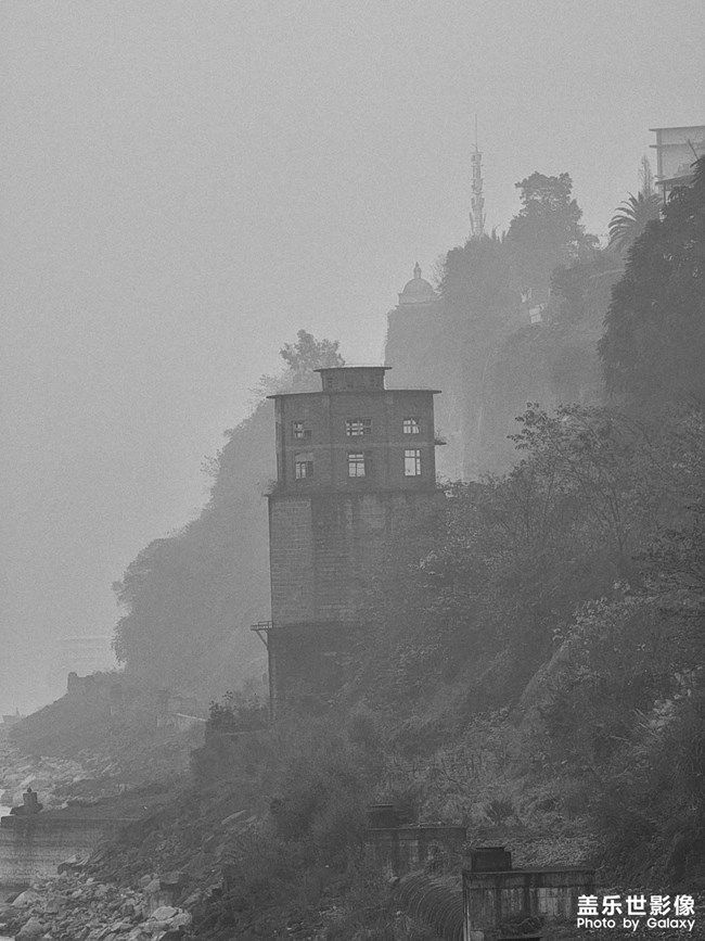 《每周星鮮事》 第93期: 快來分享你的元旦假期吧!