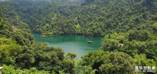 《每周星鮮事》 第93期: 快來分享你的元旦假期吧!