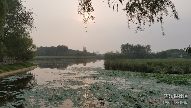 【元旦來這玩】+元旦來公園散步