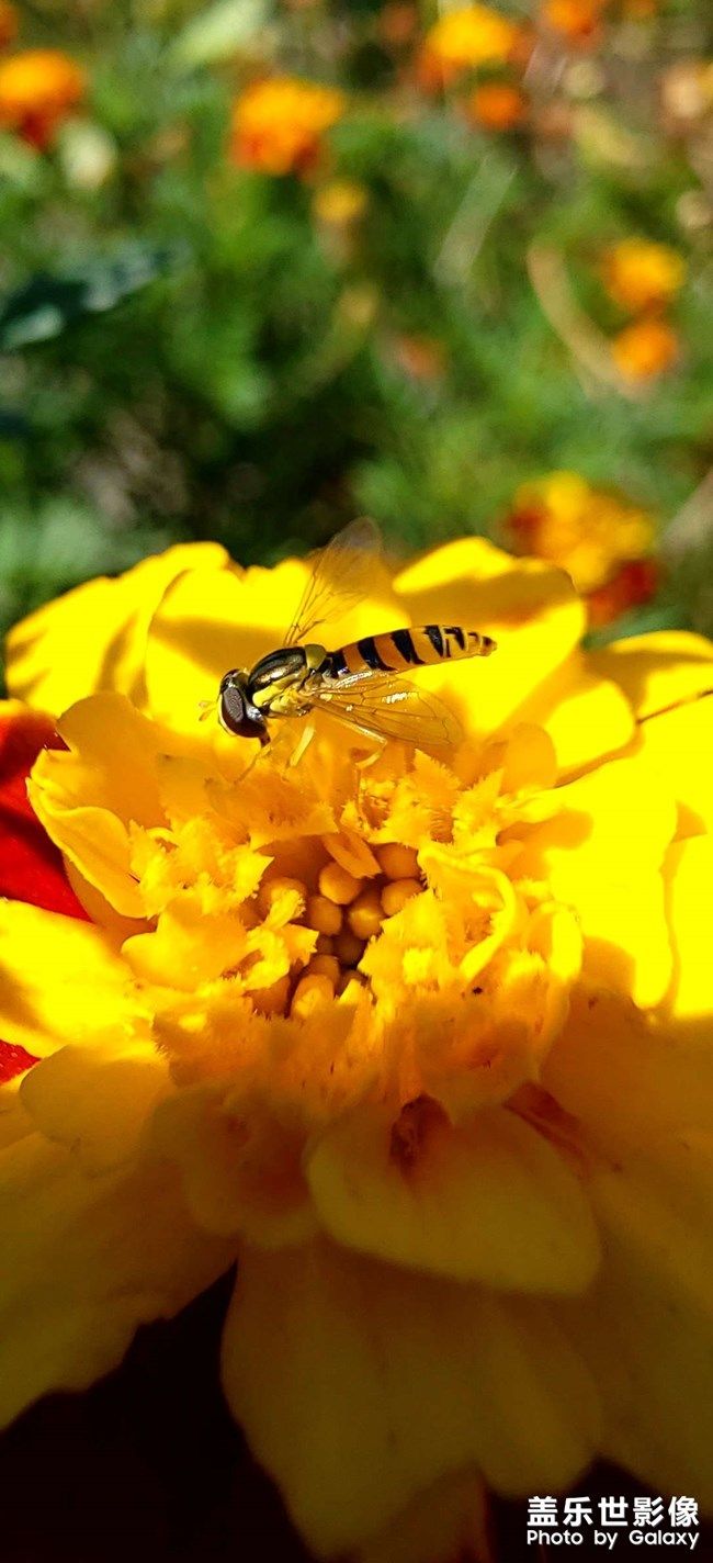 《每周星鮮事》 第93期: 快來分享你的元旦假期吧!