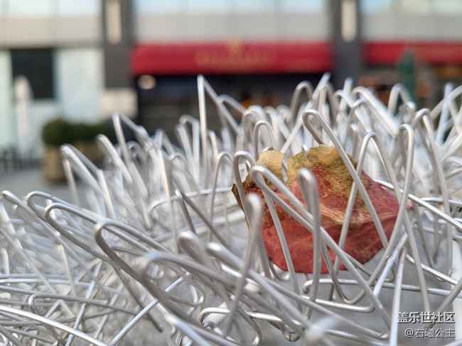 豐富功能加持重裝上陣 三星Galaxy S21 FE 5G評測