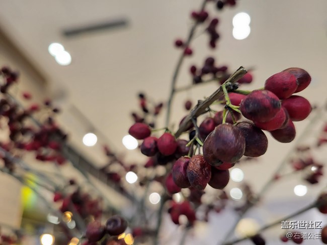 豐富功能加持重裝上陣 三星Galaxy S21 FE 5G評測