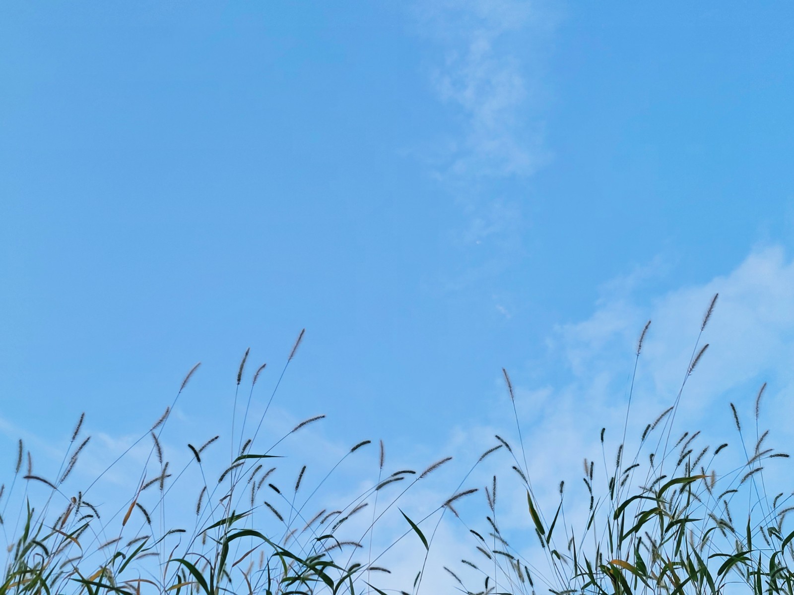 【美好回憶】走過的路