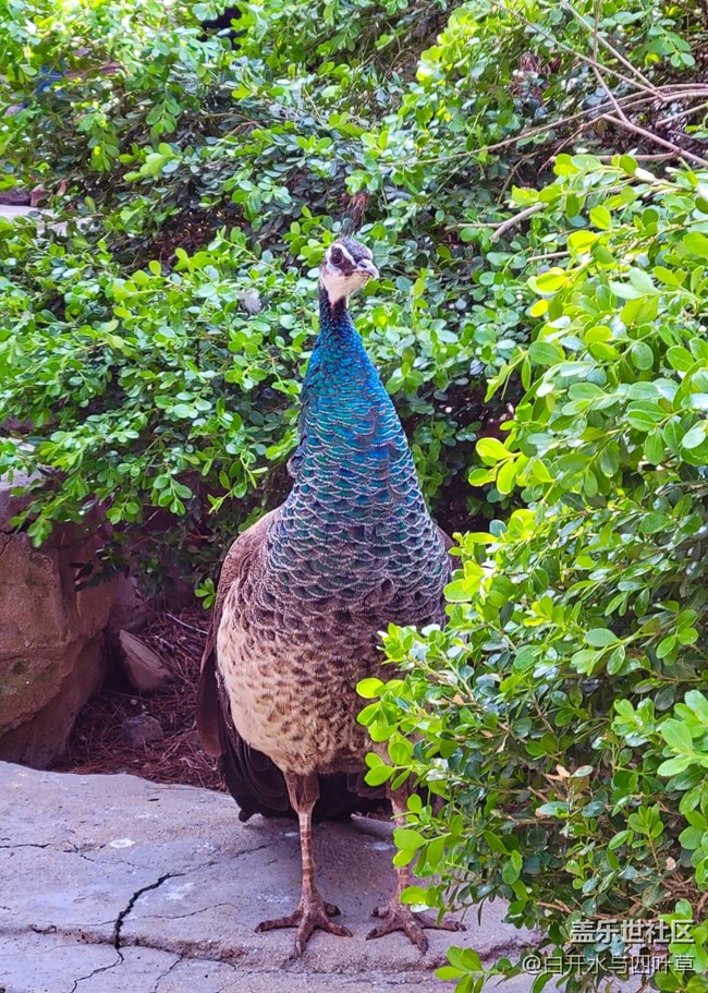 【美好回憶】走過的路