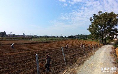 鄉(xiāng)村隨拍