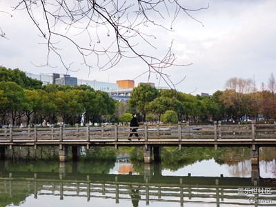 【新年隨拍】+午后校園