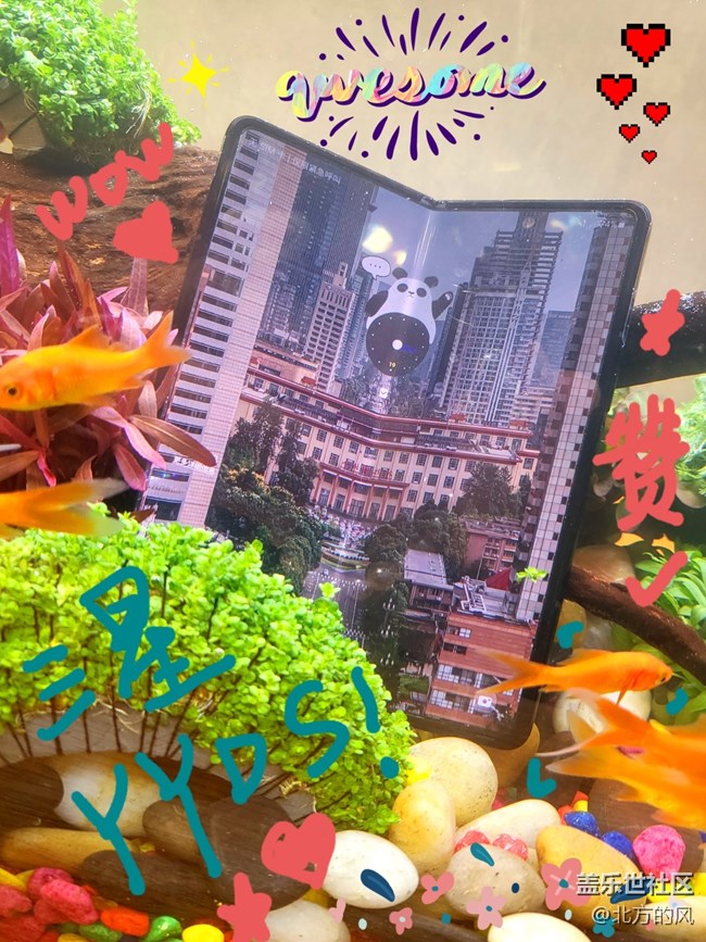 【2022新星愿】+2022三星手機(jī)大愿望