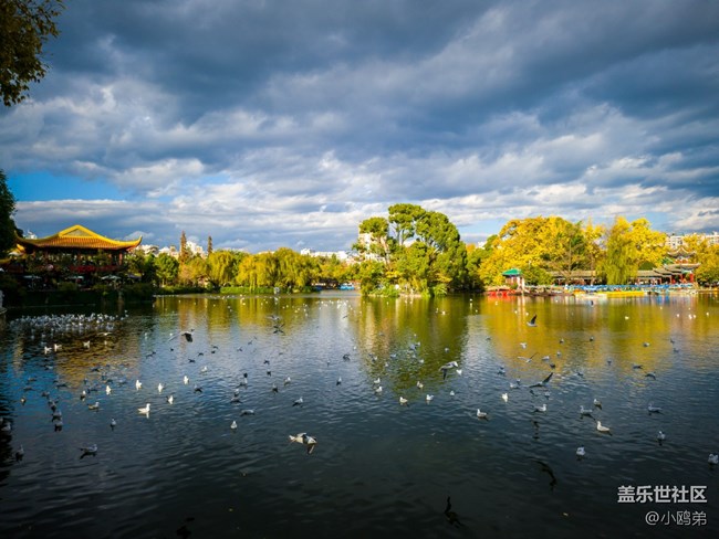 【Galaxy Z系列手機(jī)星粉體驗團(tuán)】這一面，在世界前面