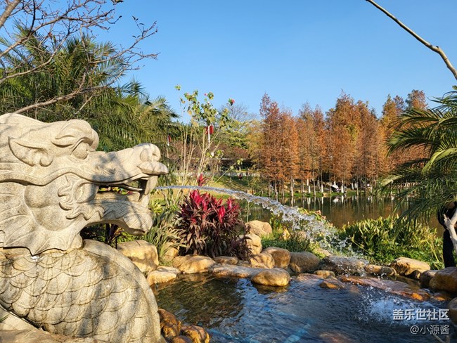 【Galaxy Z系列手機(jī)星粉體驗(yàn)團(tuán)】三星Z Flip3輕體驗(yàn)