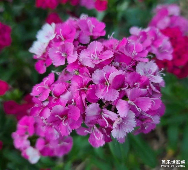 《每周星鮮事》 第94期: