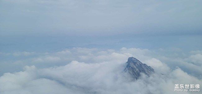 《每周星鮮事》 第94期: