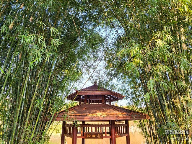 【Galaxy Z系列手機(jī)星粉體驗(yàn)團(tuán)】三星Z Flip3輕體驗(yàn)