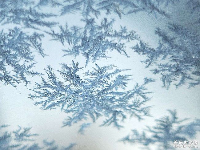 《每周星鮮事》 第94期: