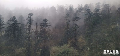 云里霧里隨處都是風景